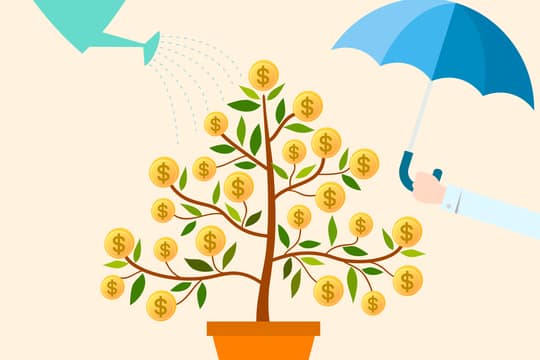 retirement-savings-tree.jpg